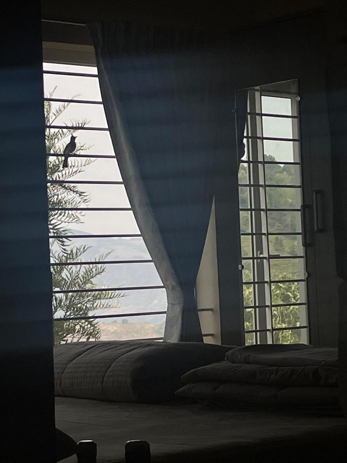 Casa De Kcn Villa Kotagiri Buitenkant foto