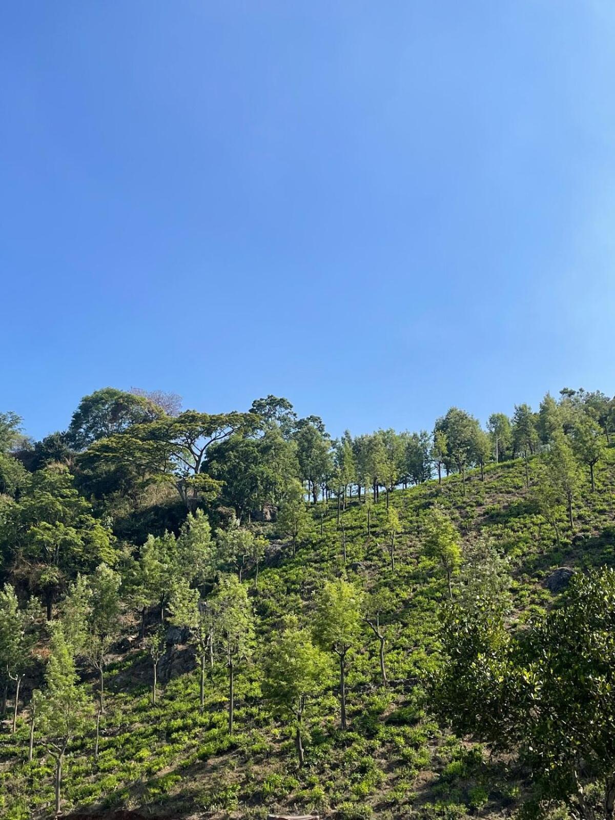 Casa De Kcn Villa Kotagiri Buitenkant foto